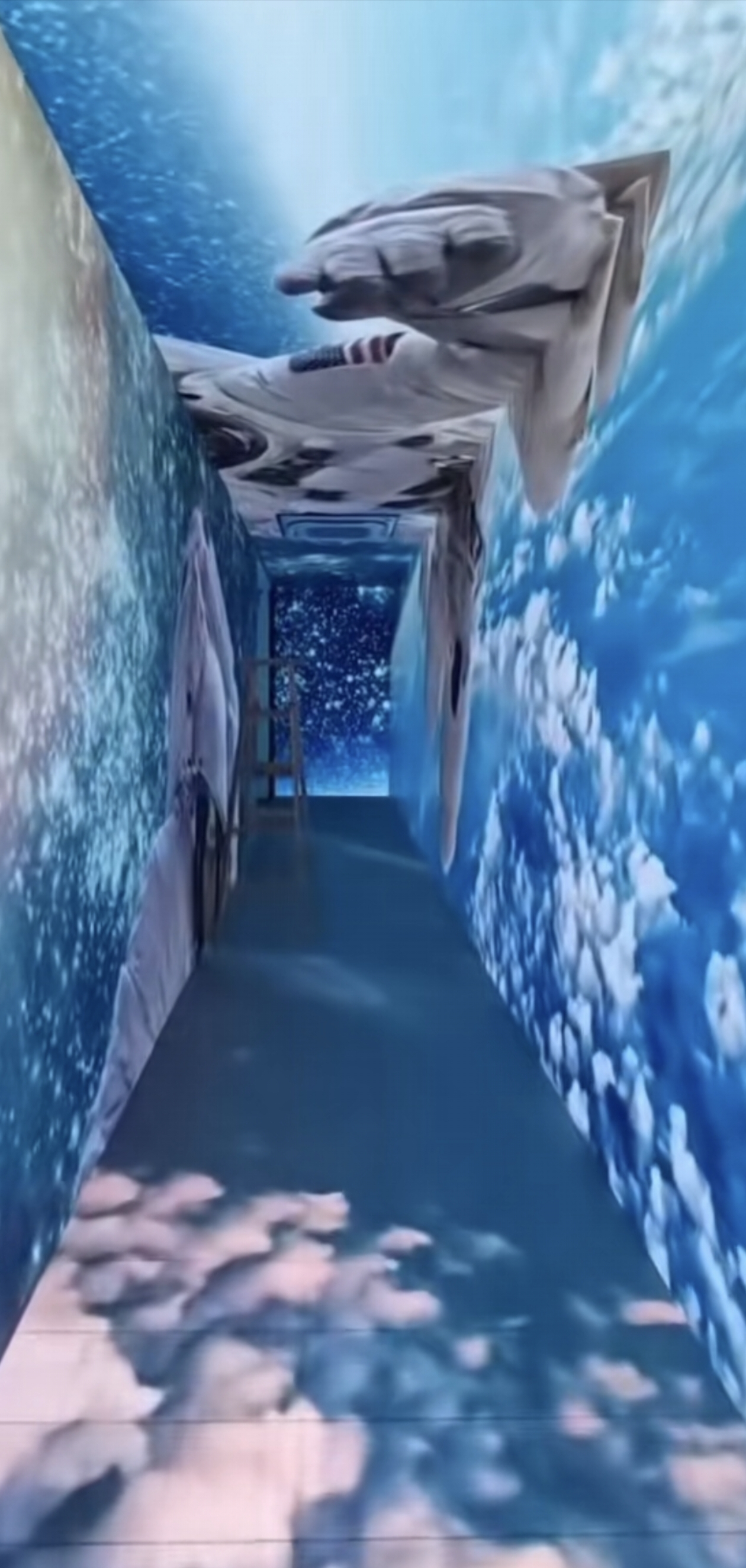 临沧